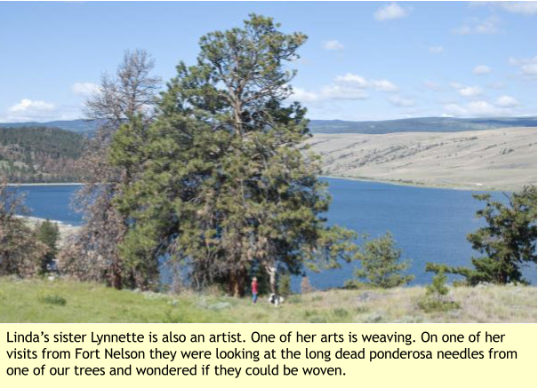 Linda’s sister Lynnette is also an artist. One of her arts is weaving. On one of her visits from Fort Nelson they were looking at the long dead ponderosa needles from one of our trees and wondered if they could be woven.