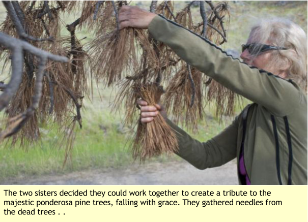 The two sisters decided they could work together to create a tribute to the majestic ponderosa pine trees, falling with grace. They gathered needles from the dead trees . .